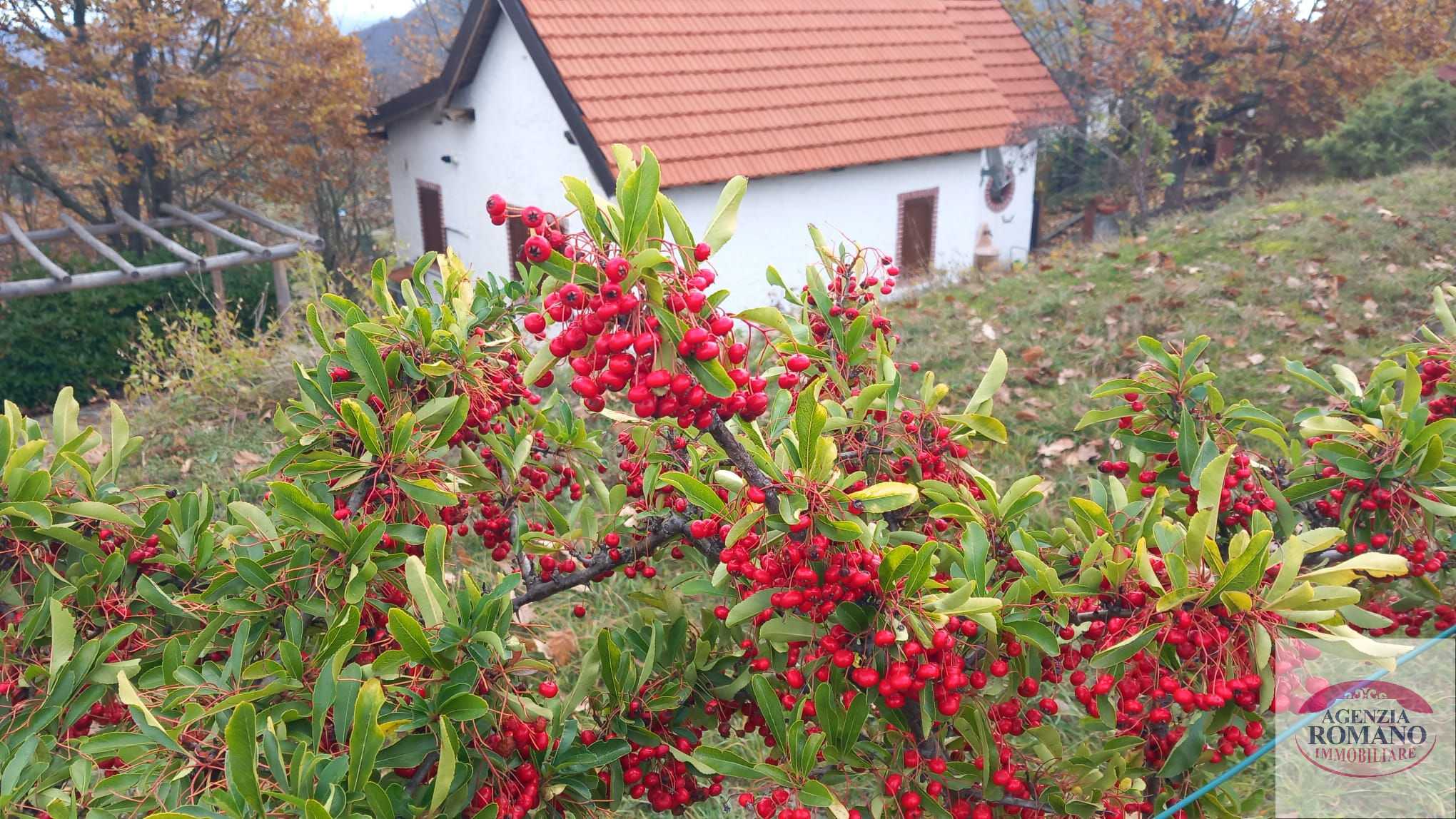  - foto 8