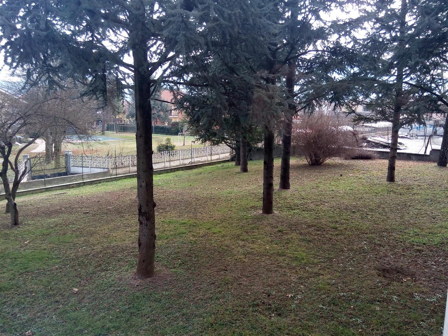  - foto 12