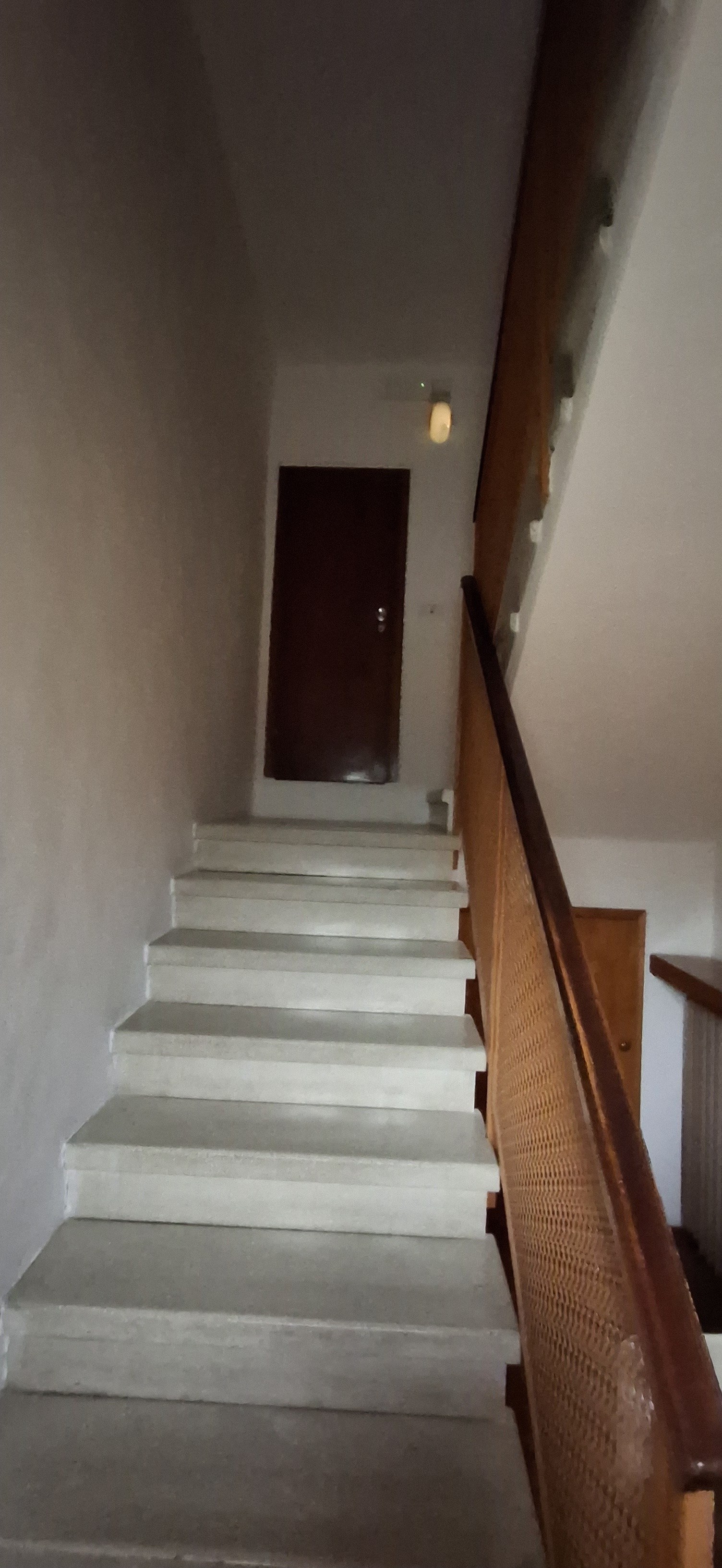  - foto 14