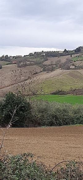  - foto 14