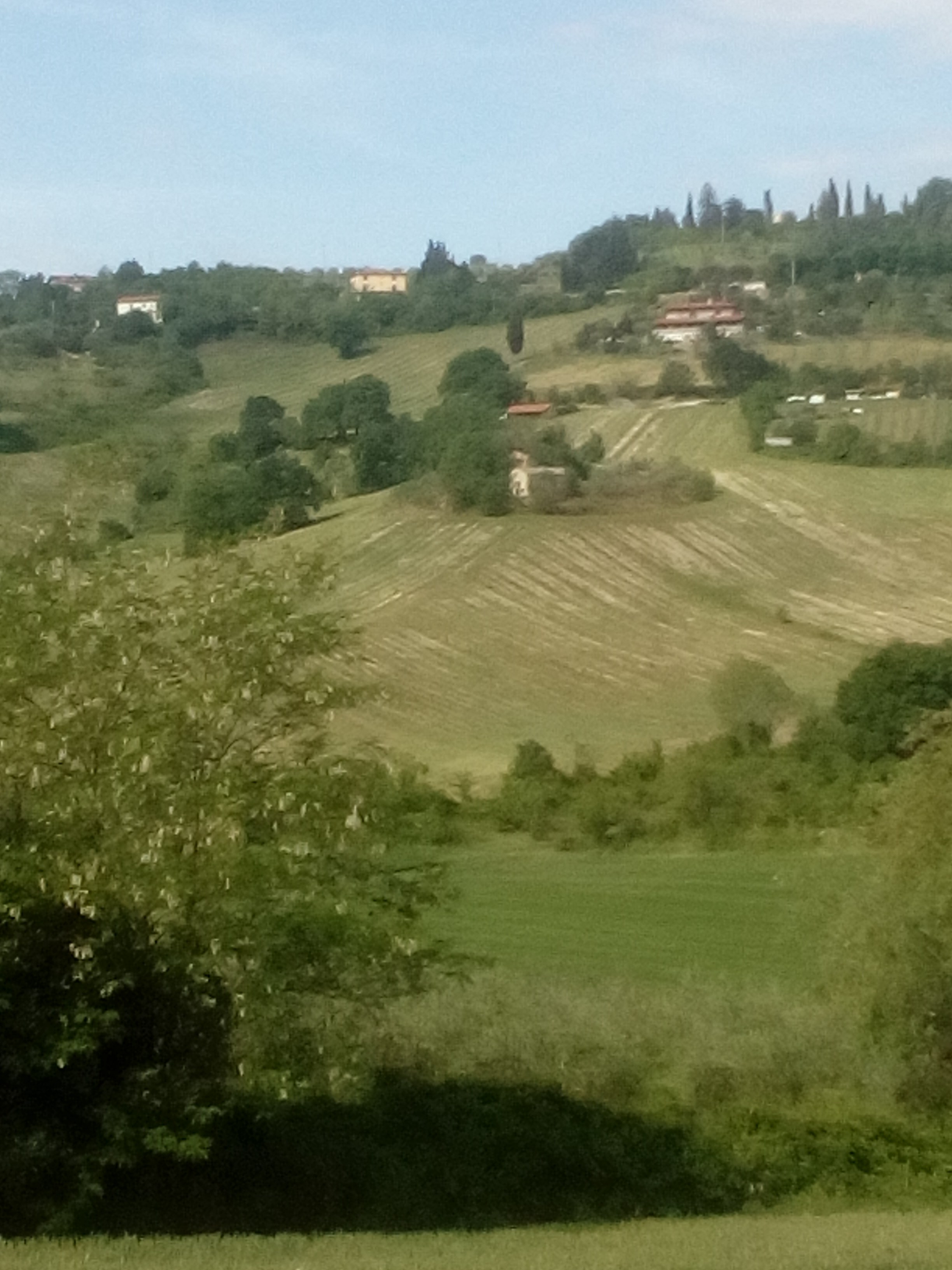  - foto 4