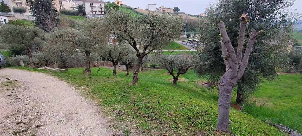  - foto 16