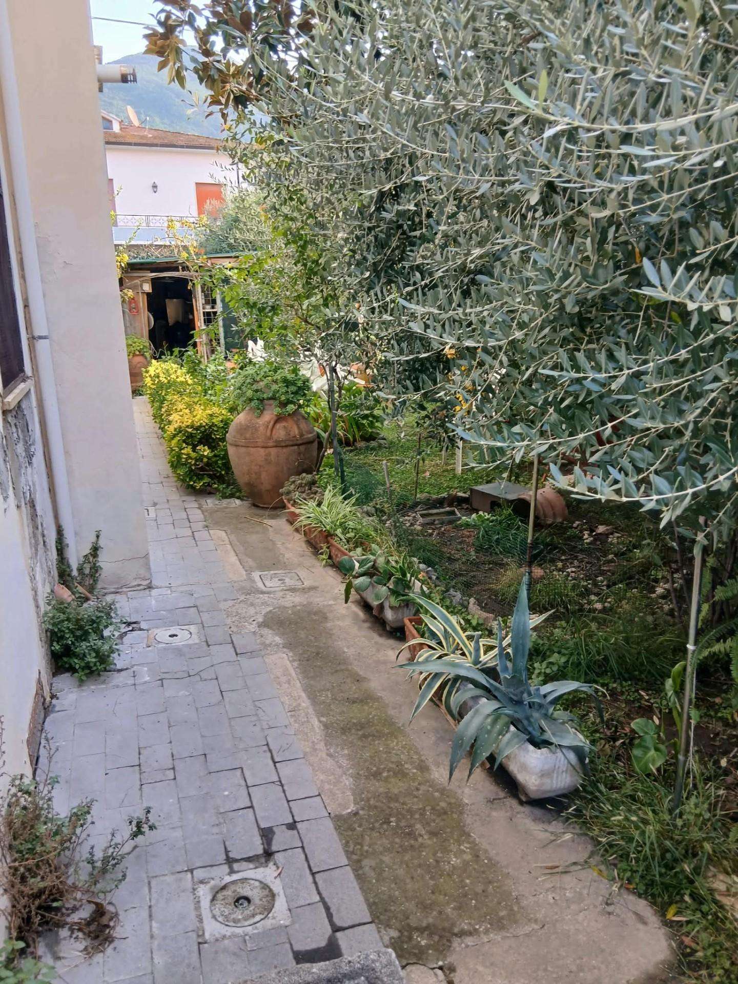  - foto 26