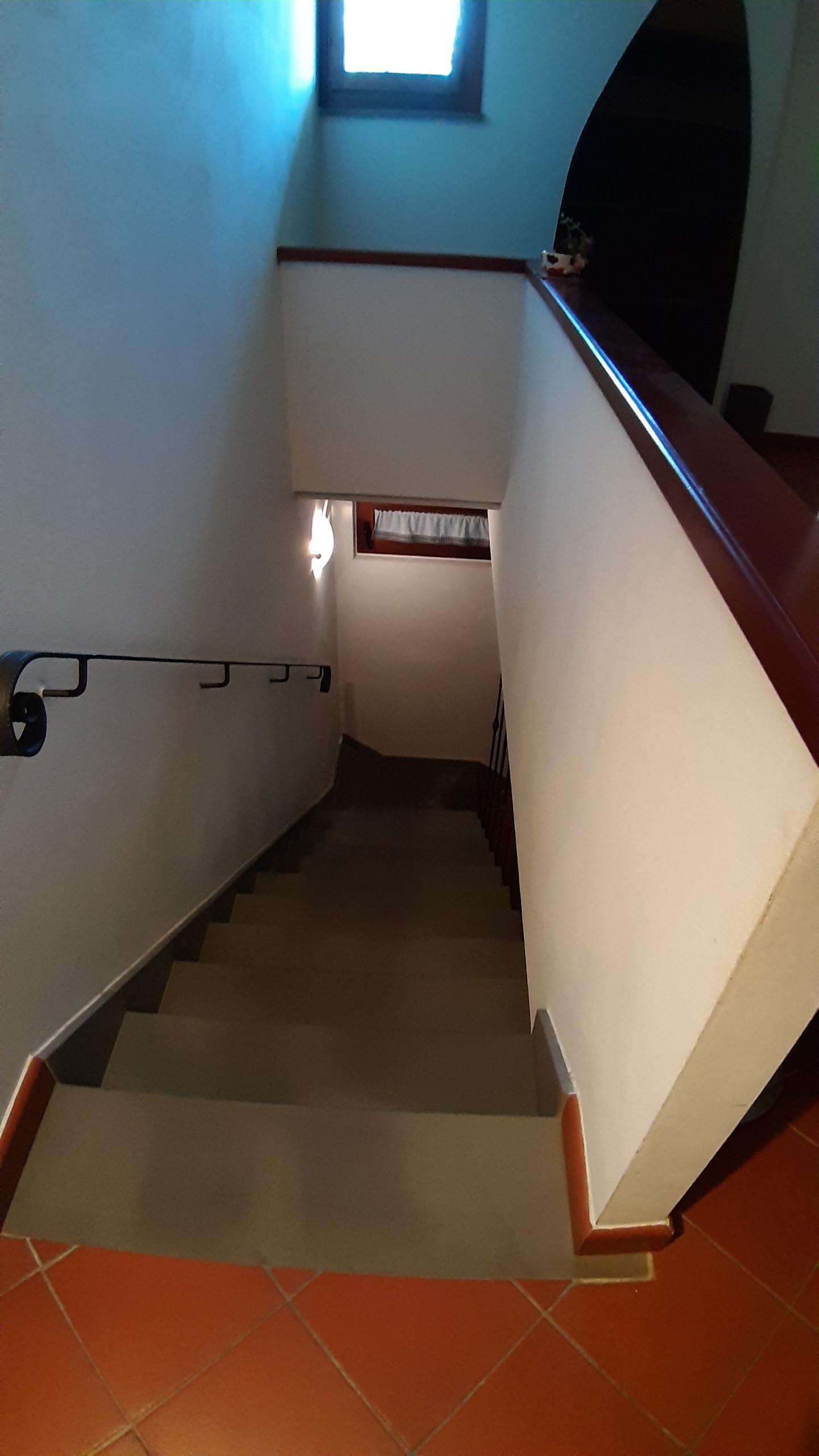  - foto 22
