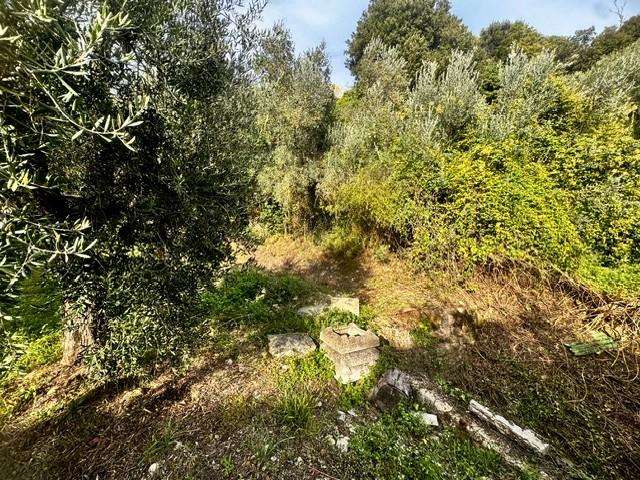  - foto 31