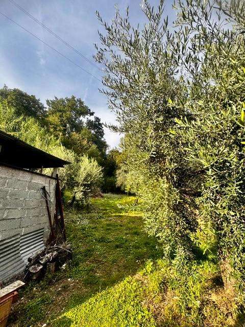  - foto 32
