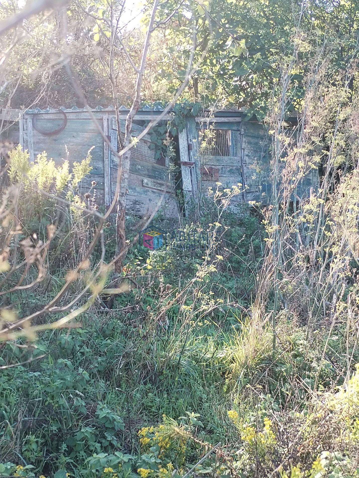  - foto 13