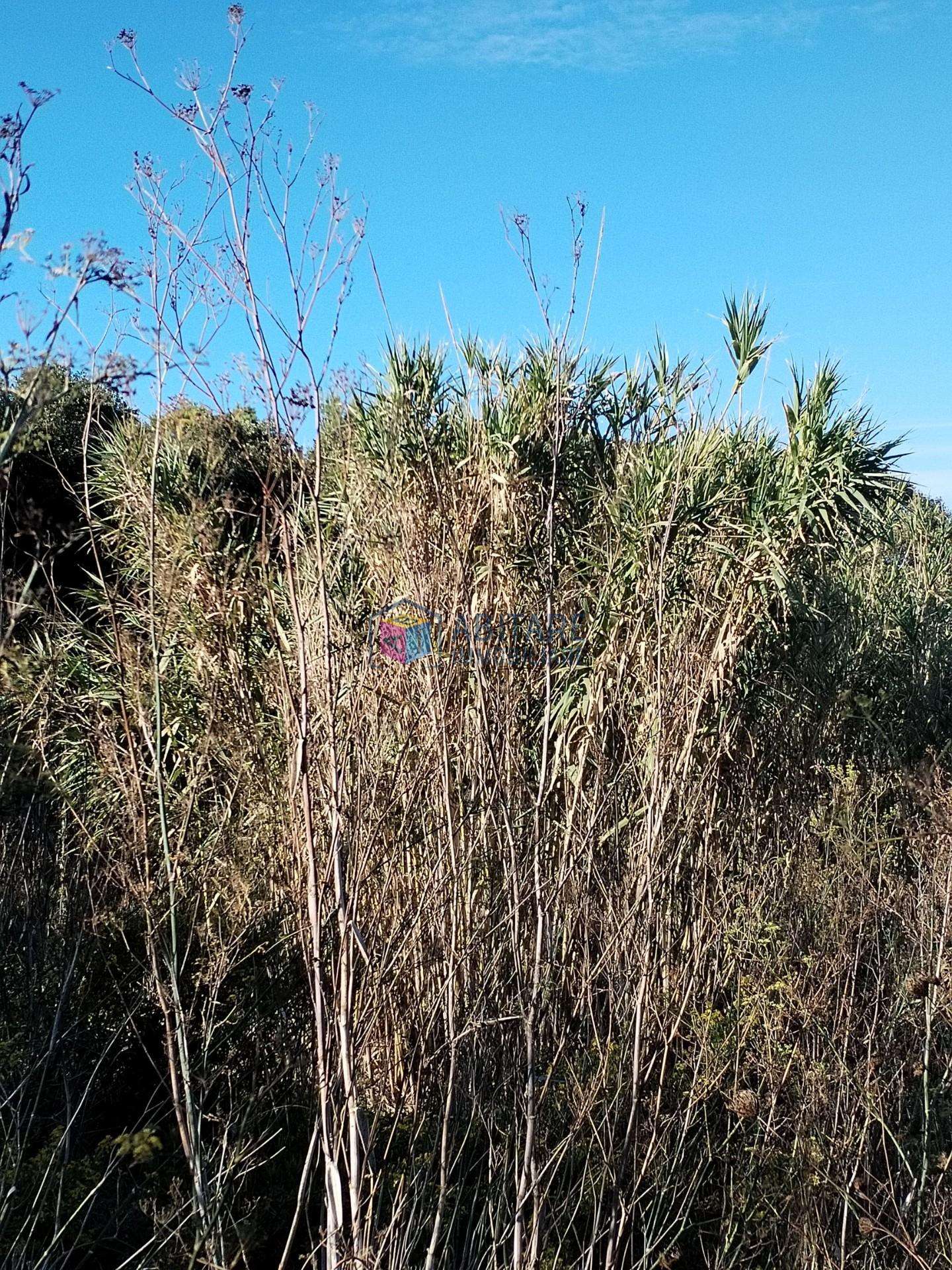  - foto 14