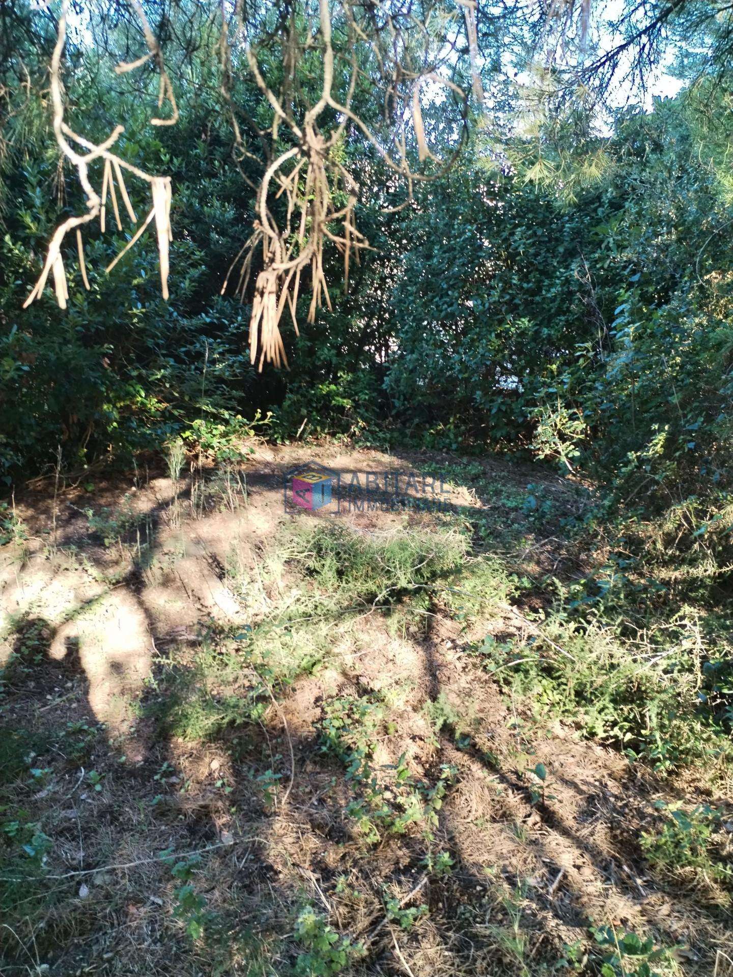  - foto 17
