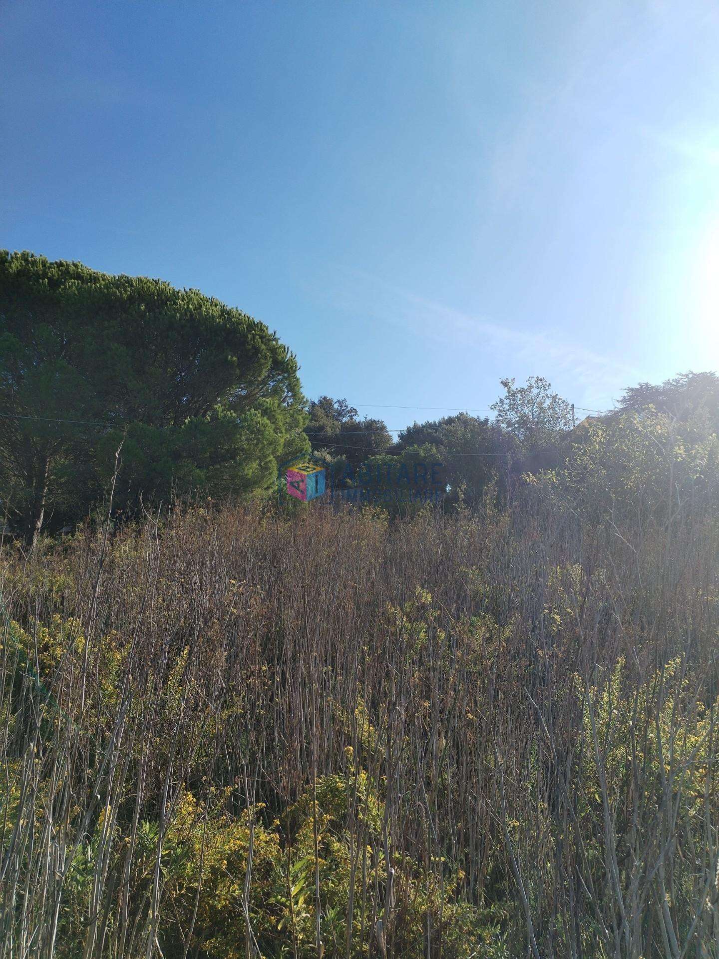  - foto 18