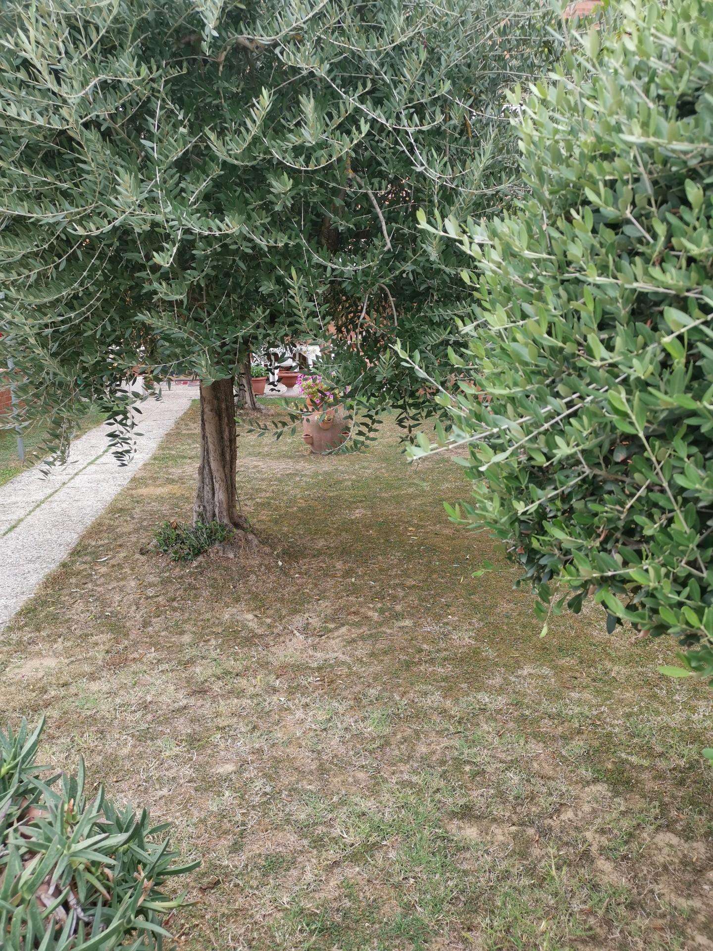  - foto 18