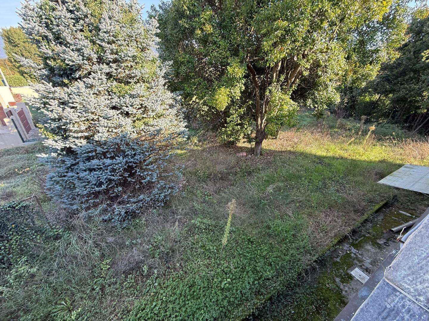  - foto 17