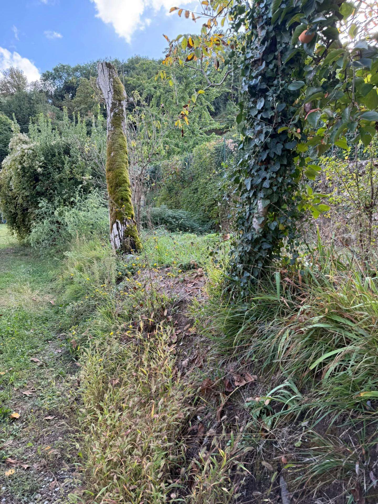  - foto 39