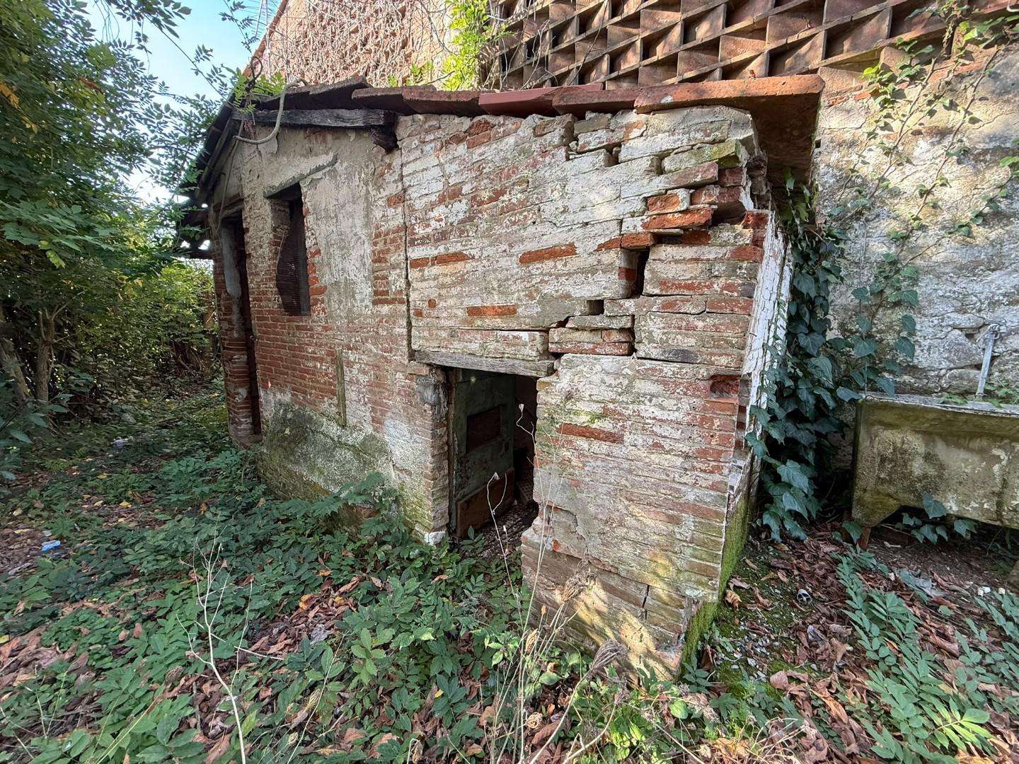  - foto 4