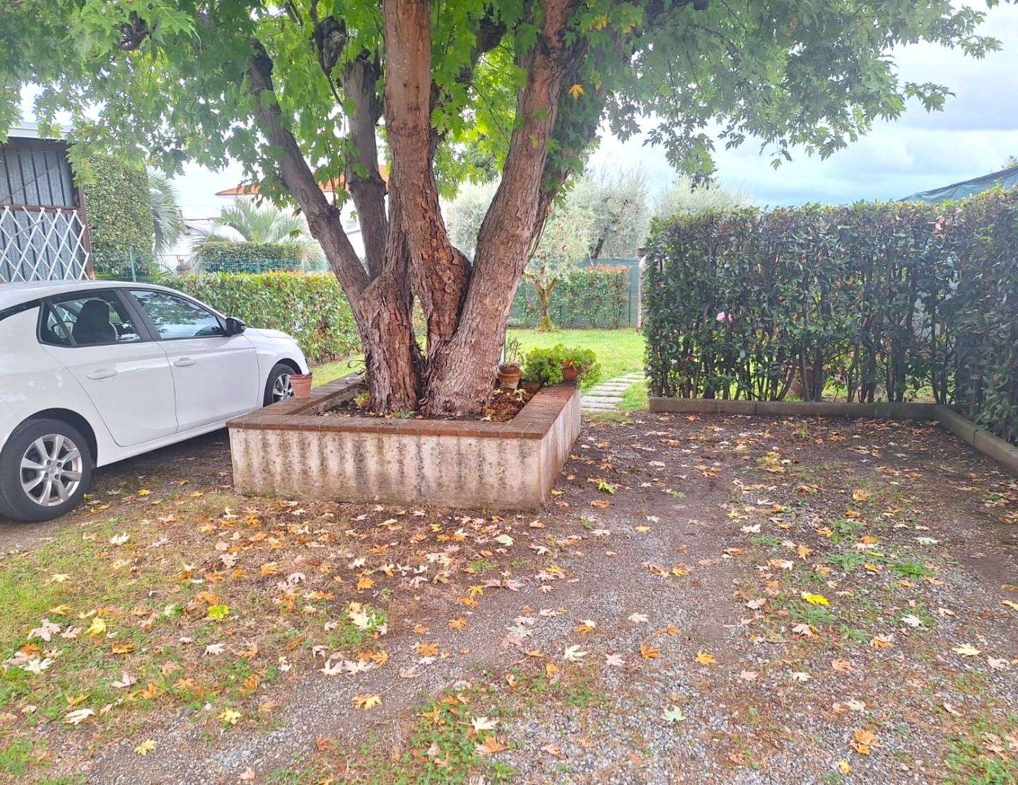  - foto 26