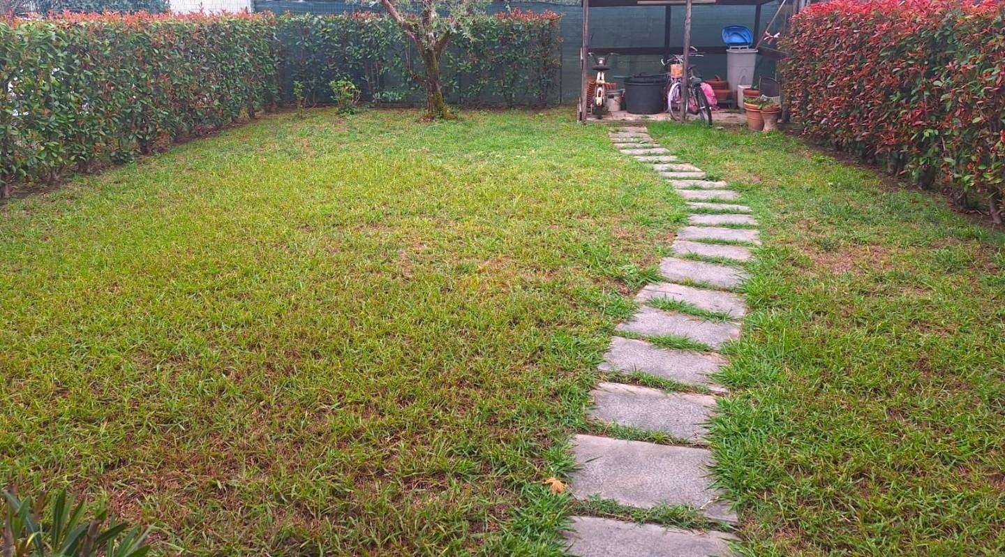  - foto 31