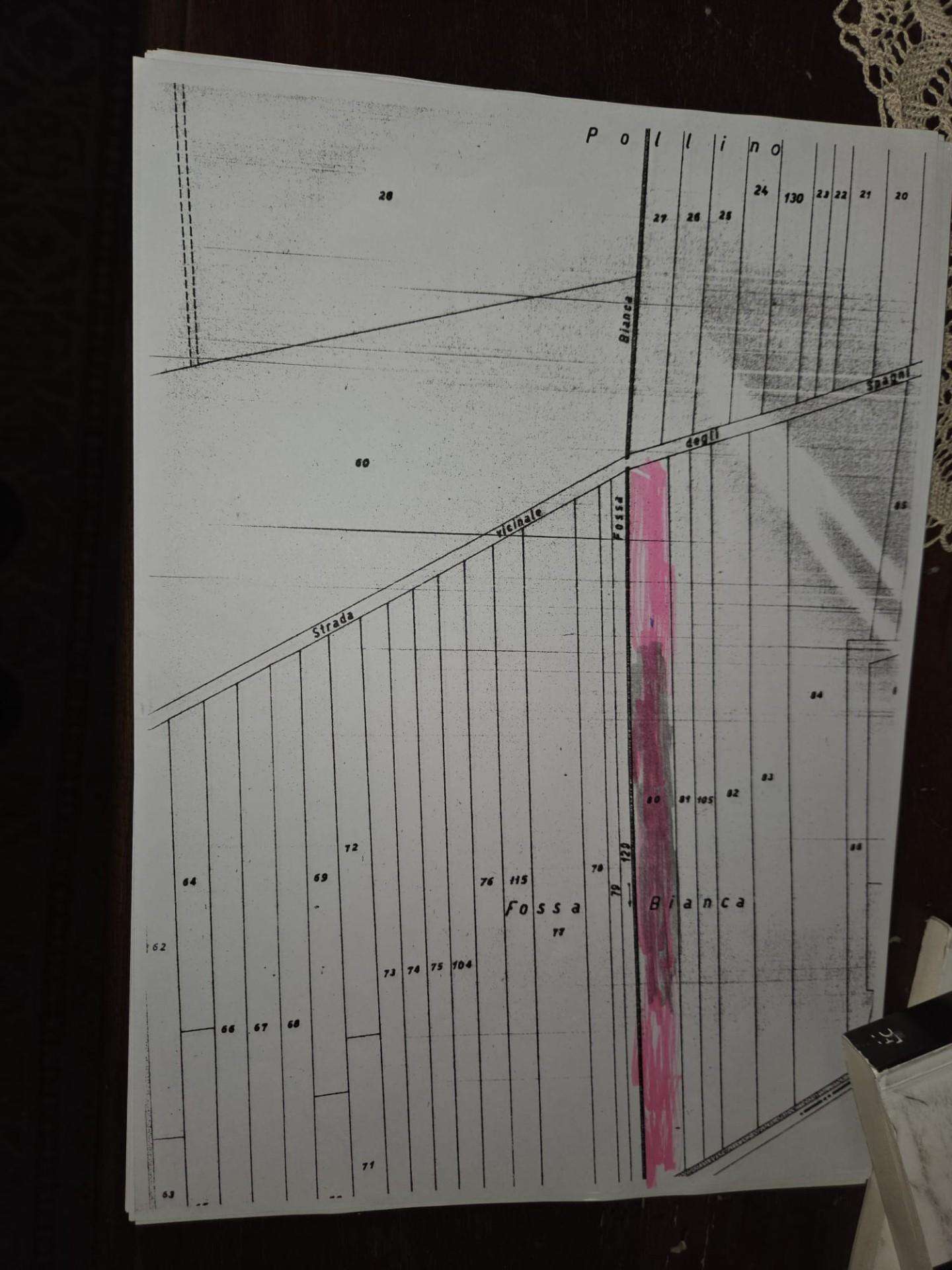  - foto 5