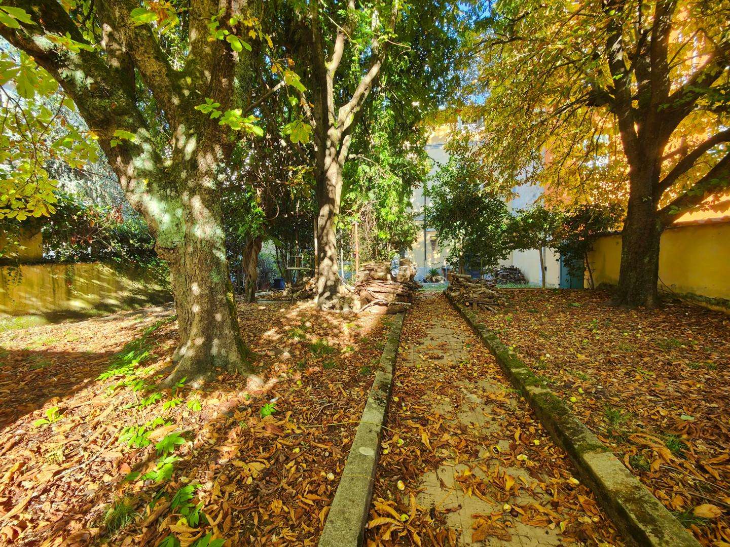  - foto 17