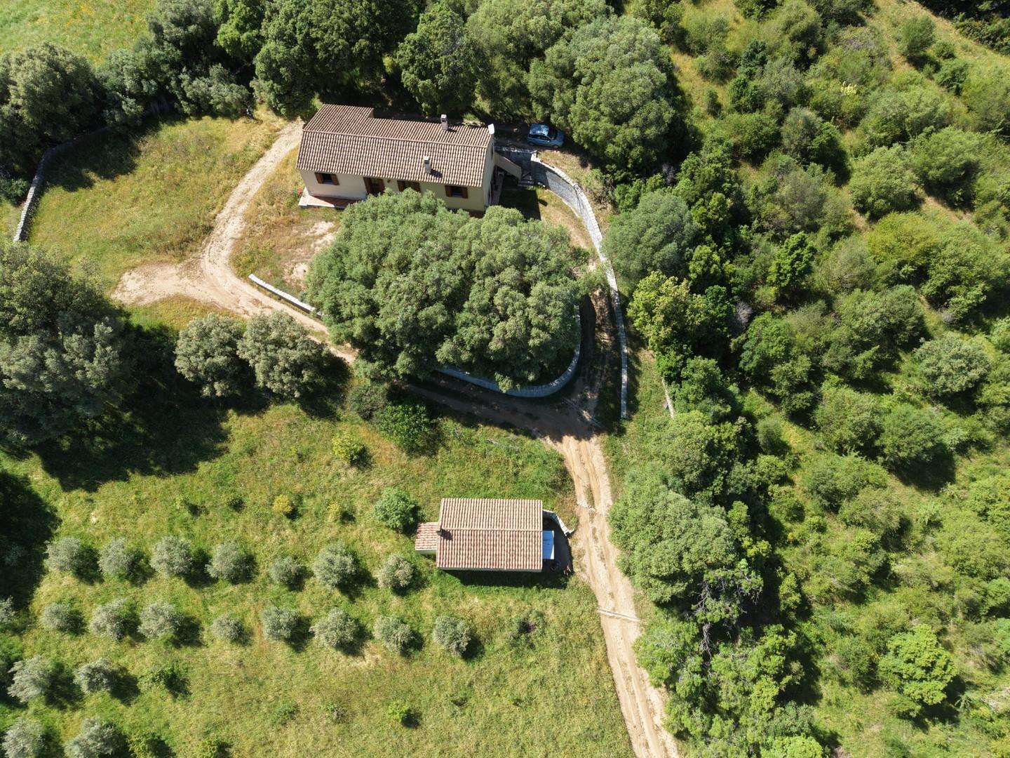 Casale Crisciuleddu SS,  07020, Luogosanto