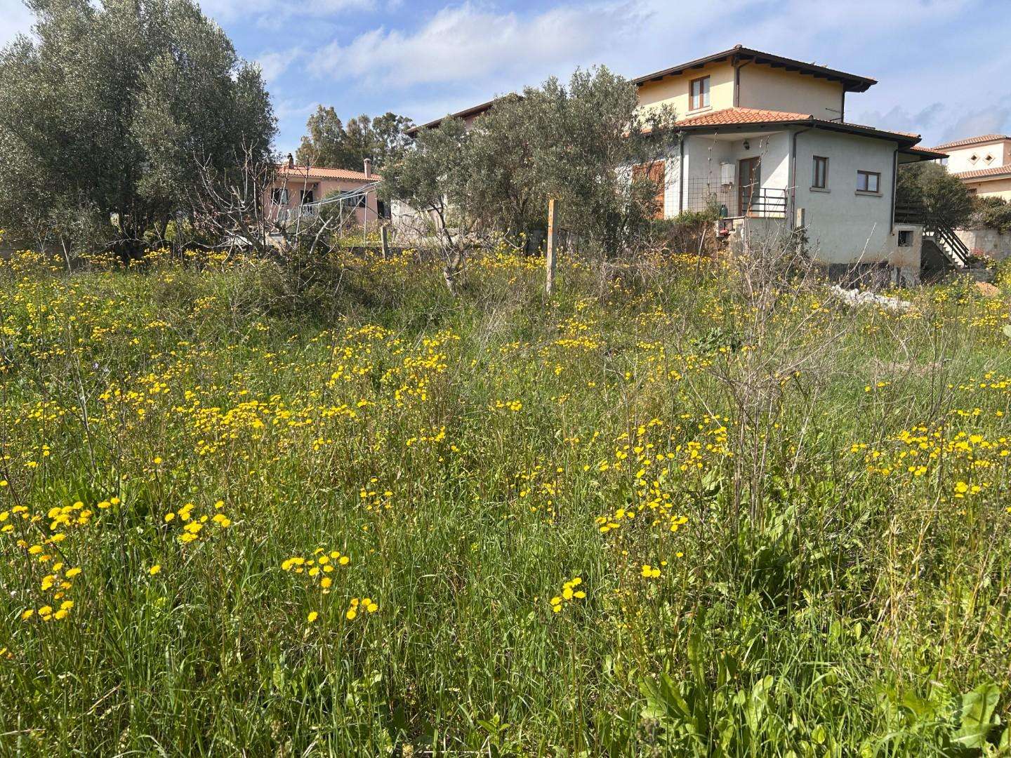 Terreno edificabile Luogosanto Provincia della Gallura Nord-Est Sardegna,, Luogosanto