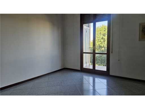 - foto 13