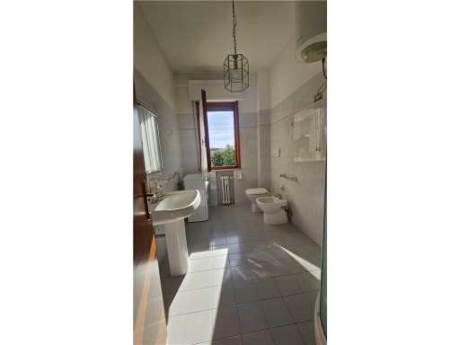 - foto 19