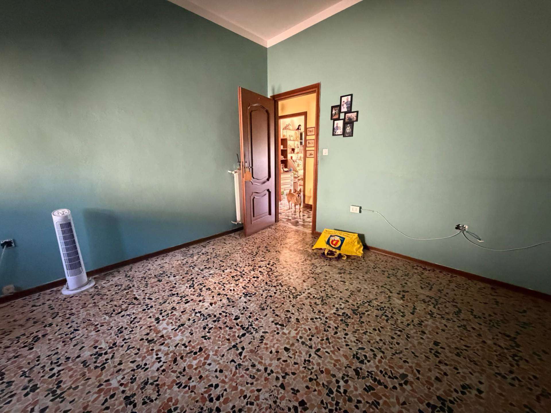  - foto 11