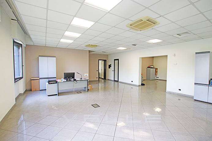  - foto 11