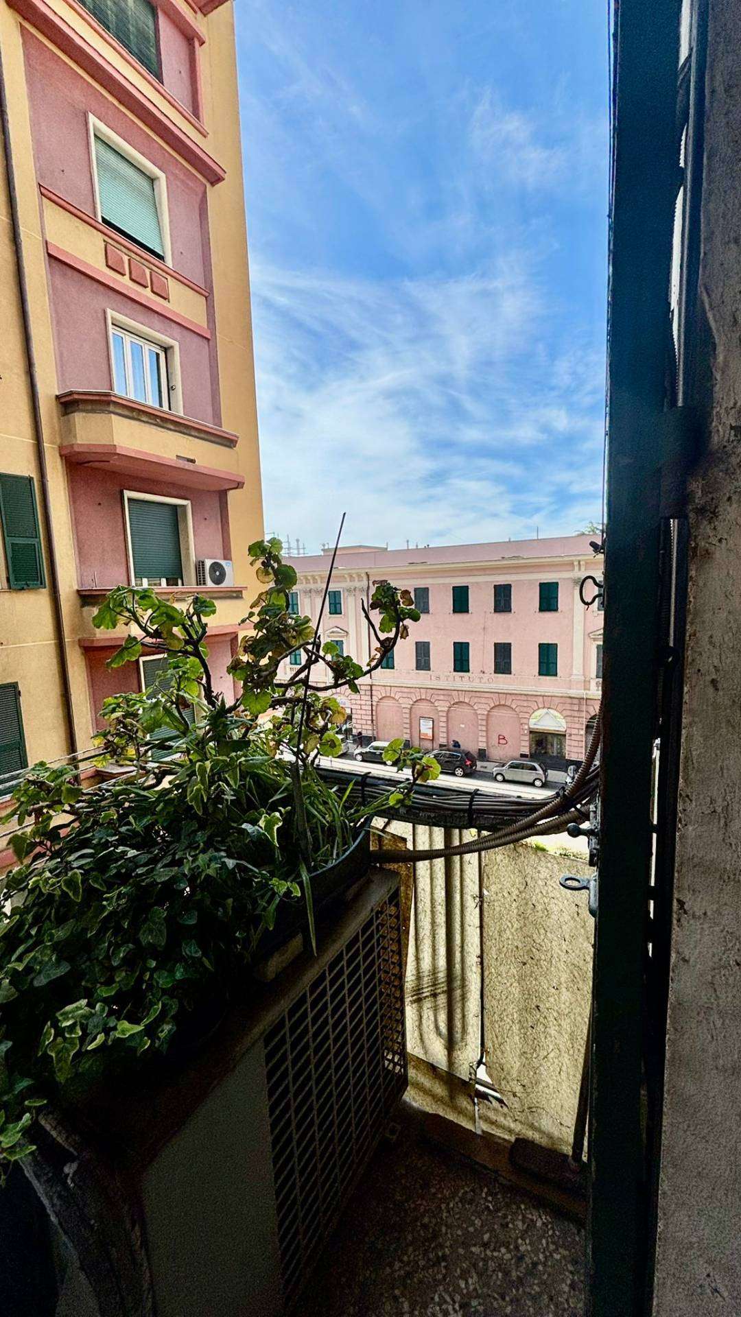  - foto 17