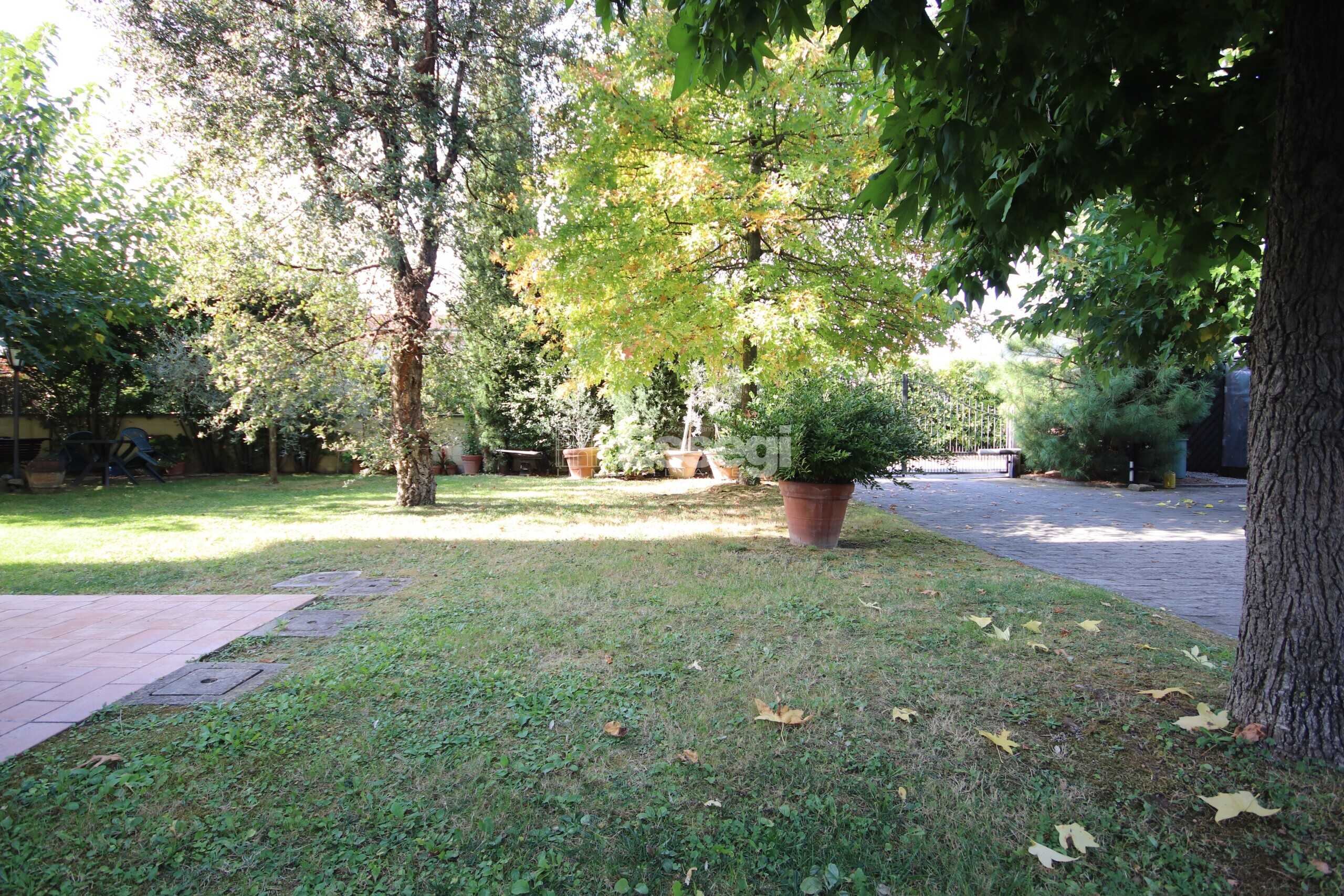  - foto 24