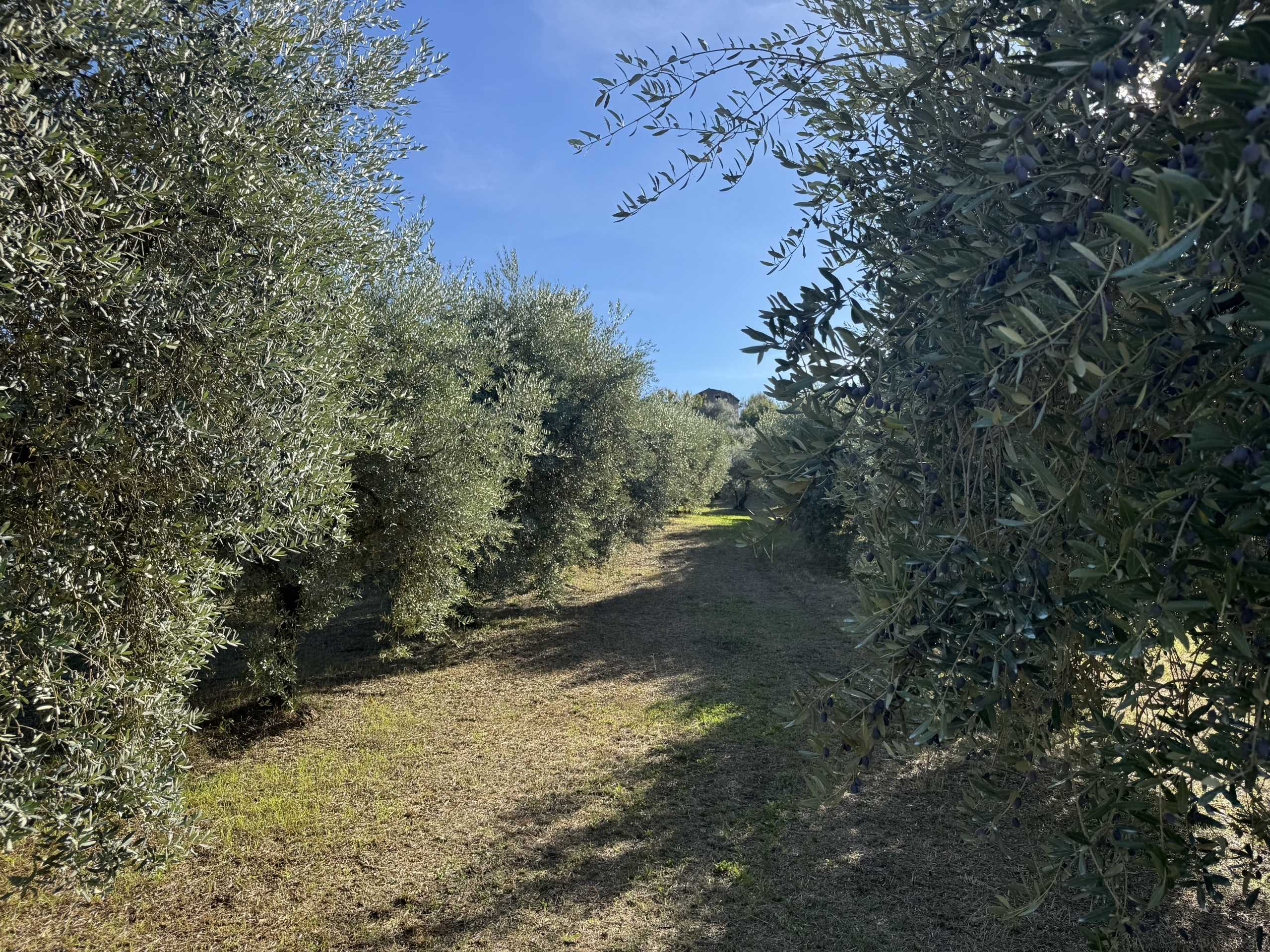  - foto 11