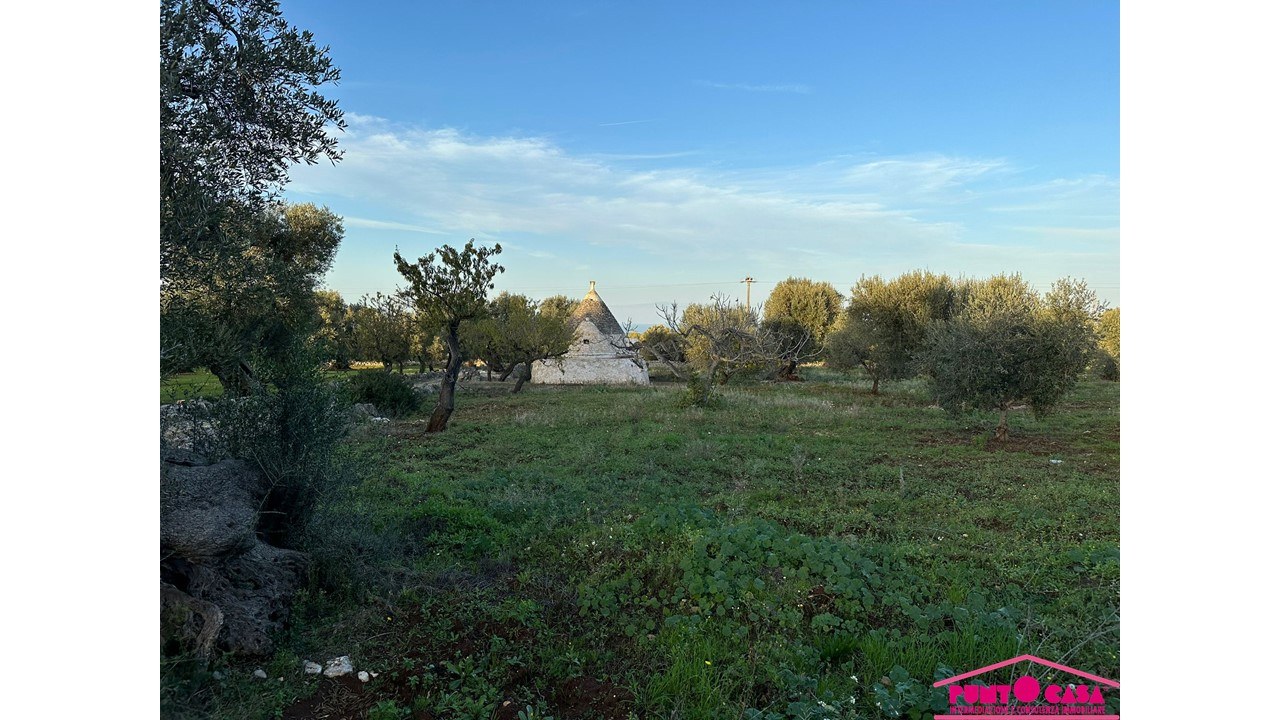  - foto 5