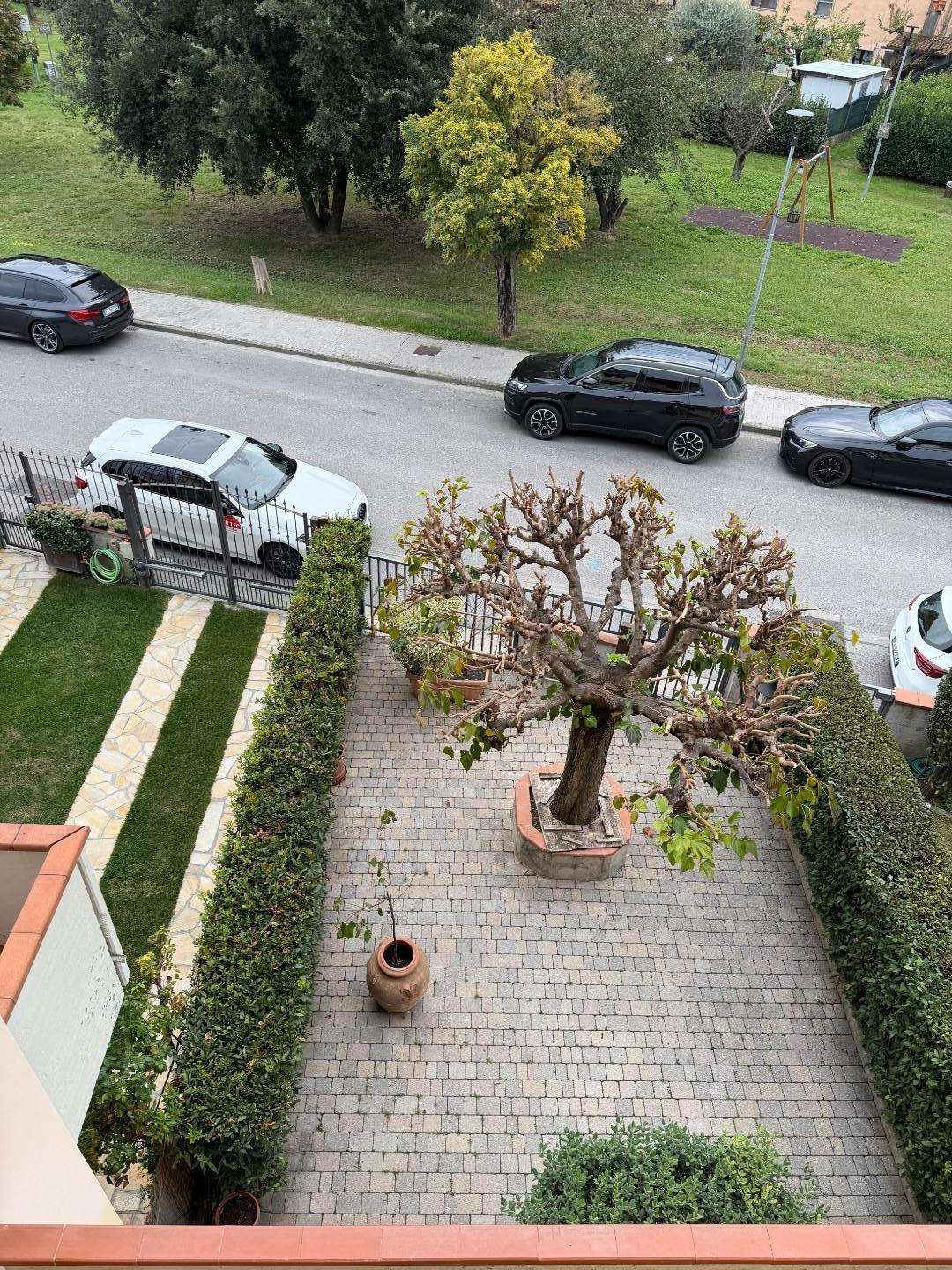  - foto 33