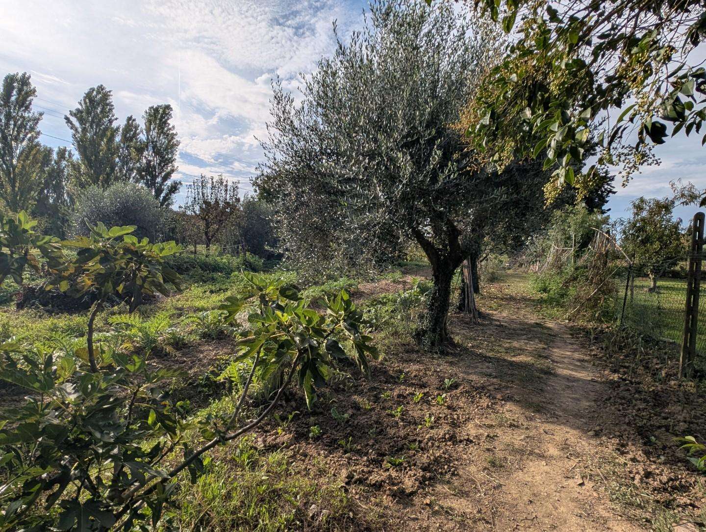  - foto 42