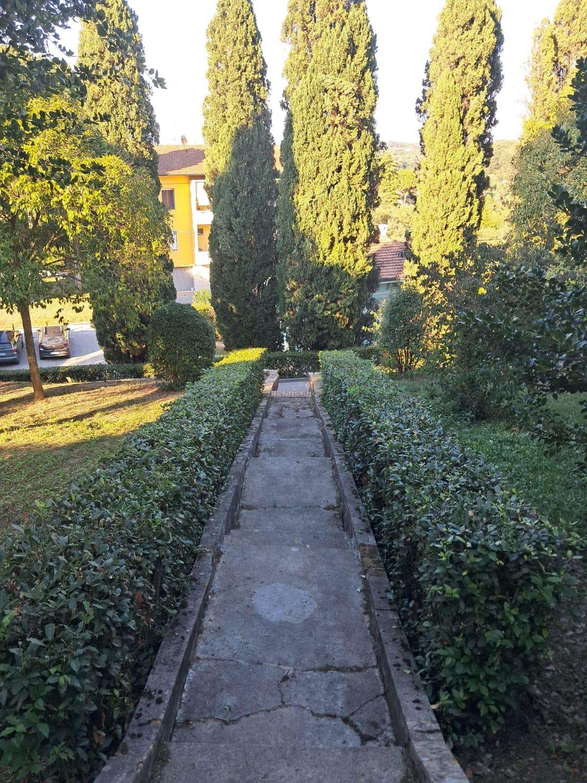  - foto 11