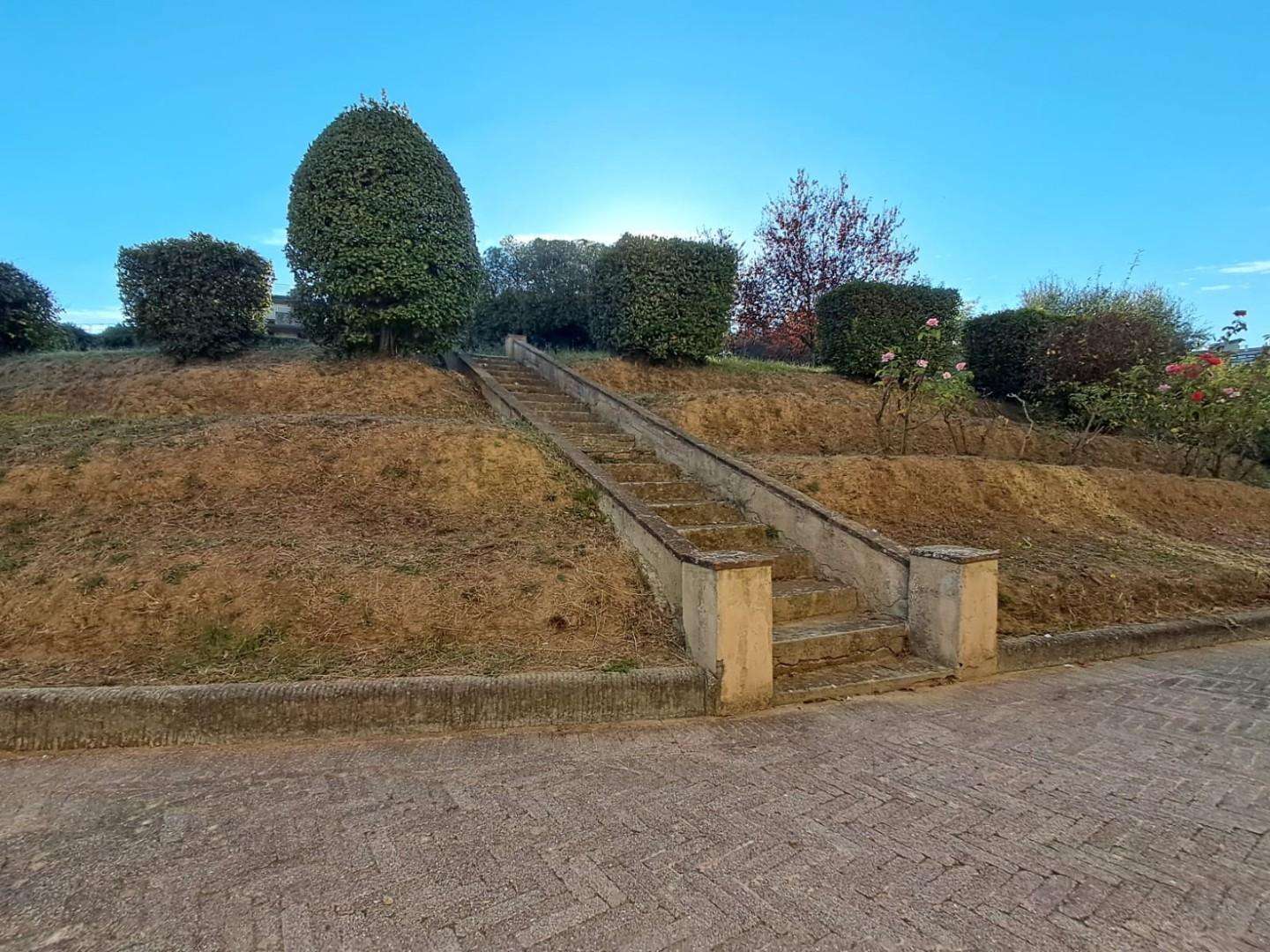  - foto 14