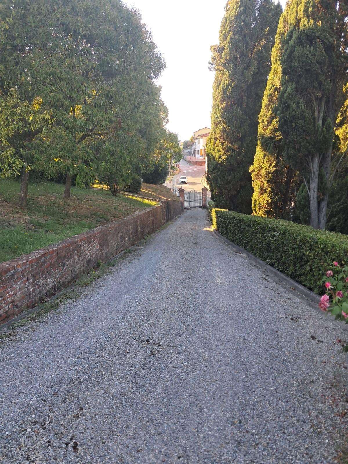  - foto 24