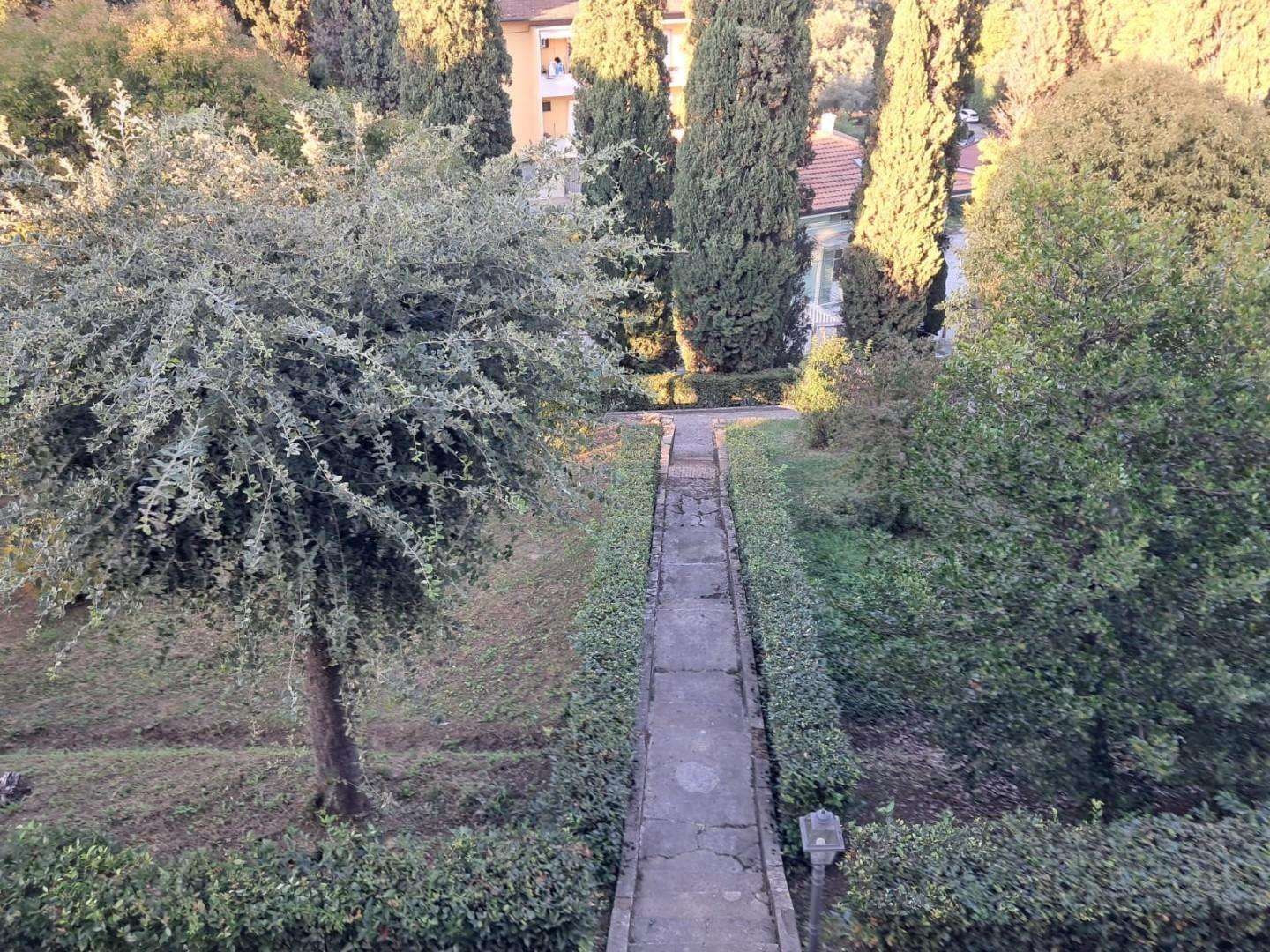  - foto 28