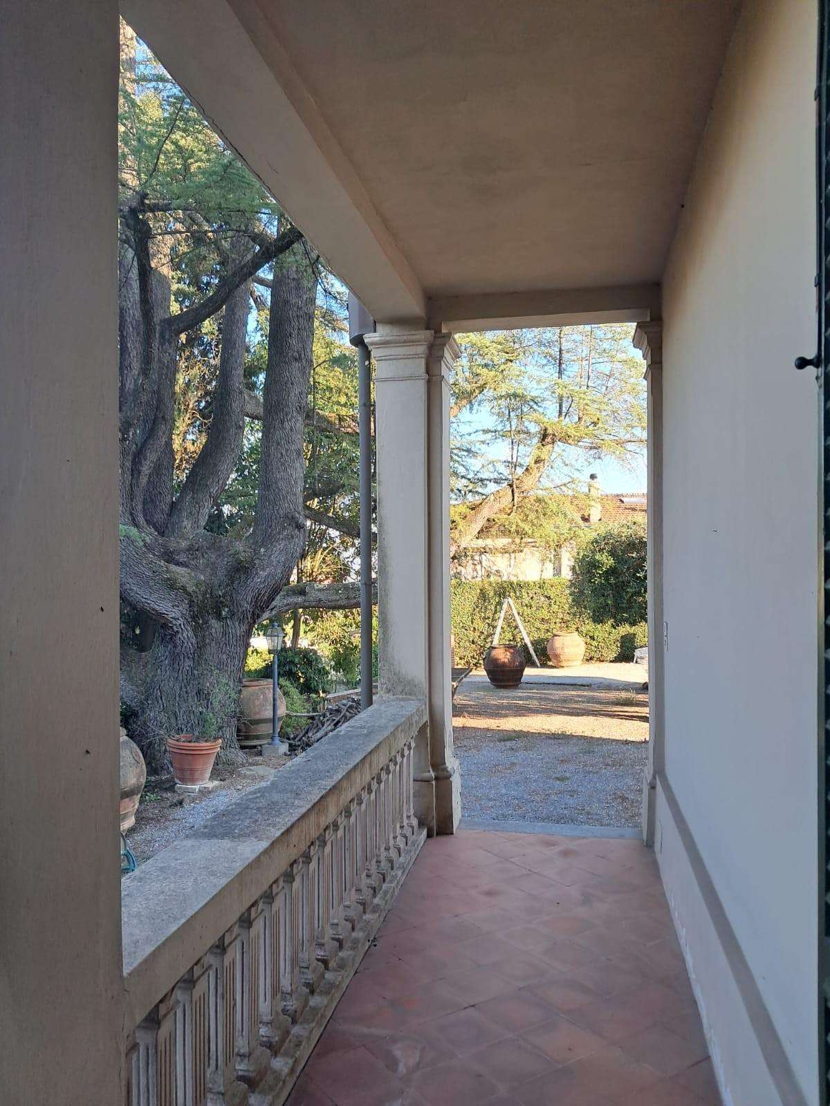  - foto 30