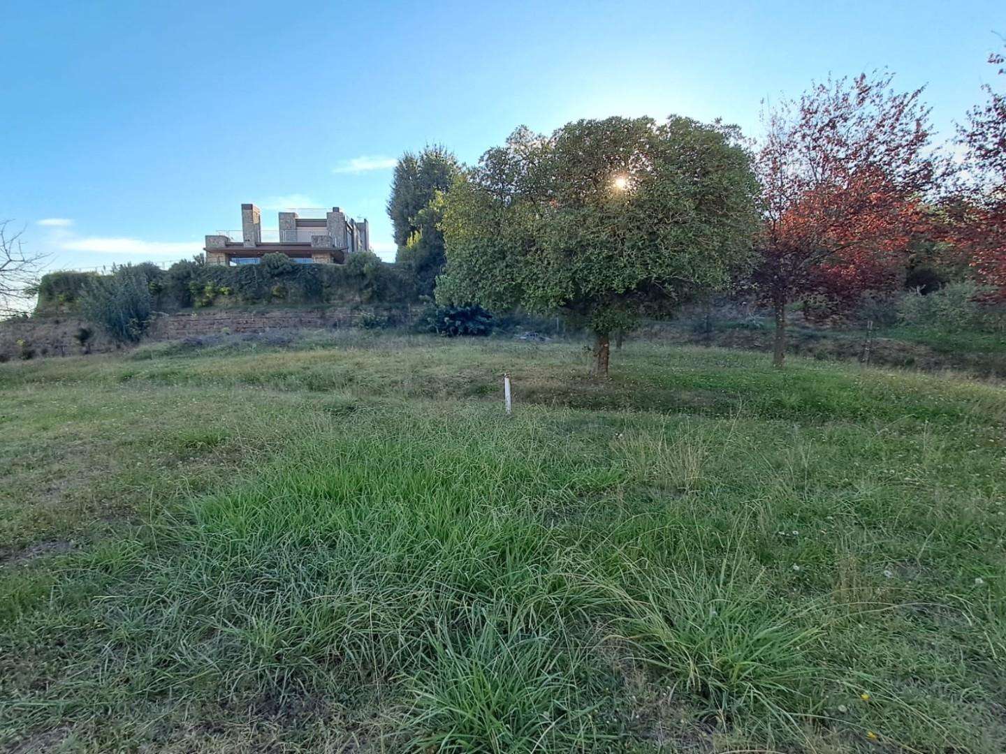  - foto 5