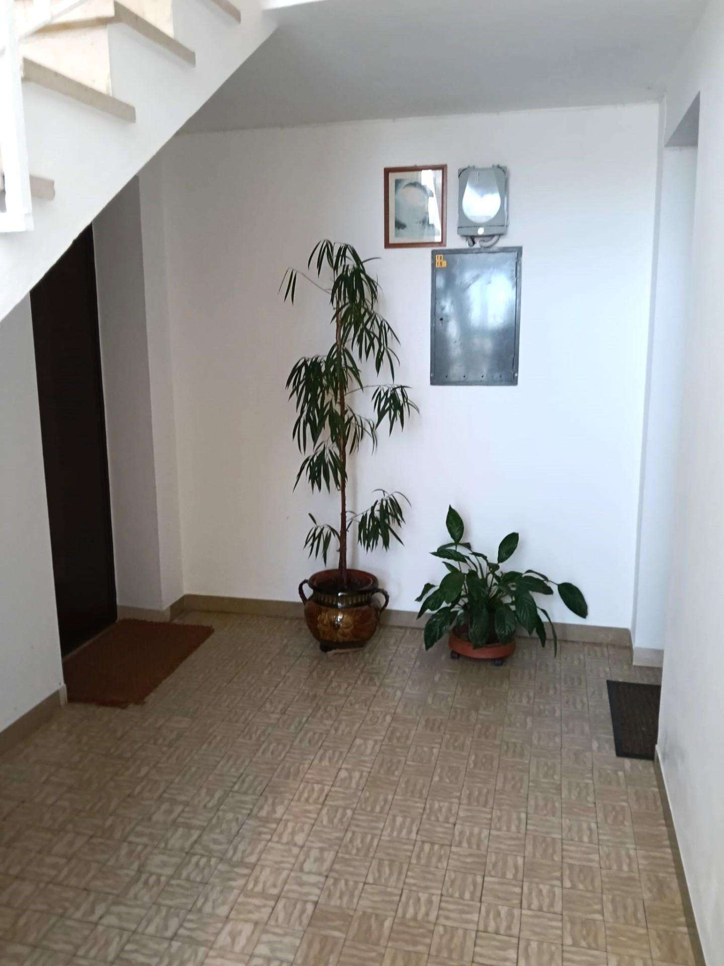  - foto 17