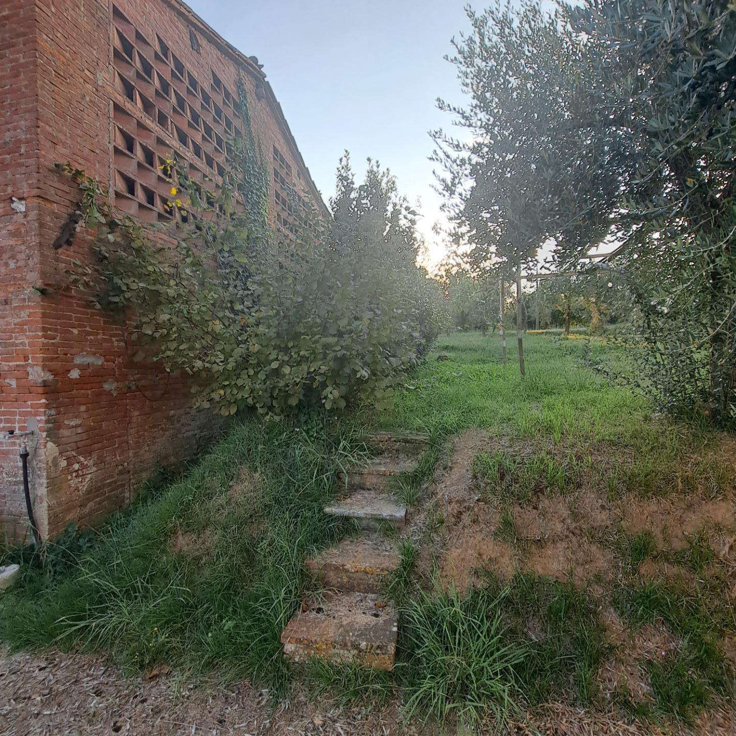  - foto 11
