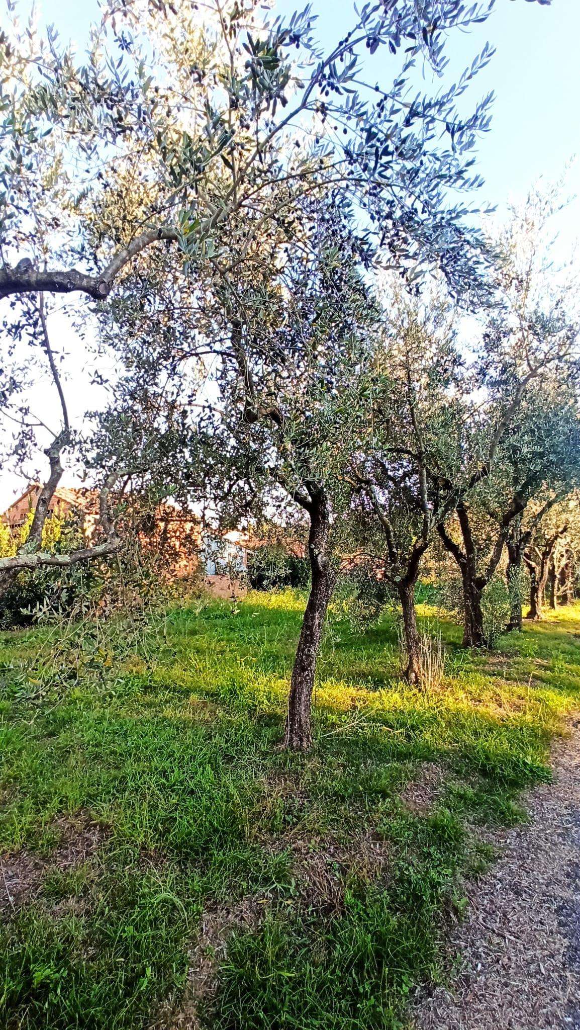  - foto 15