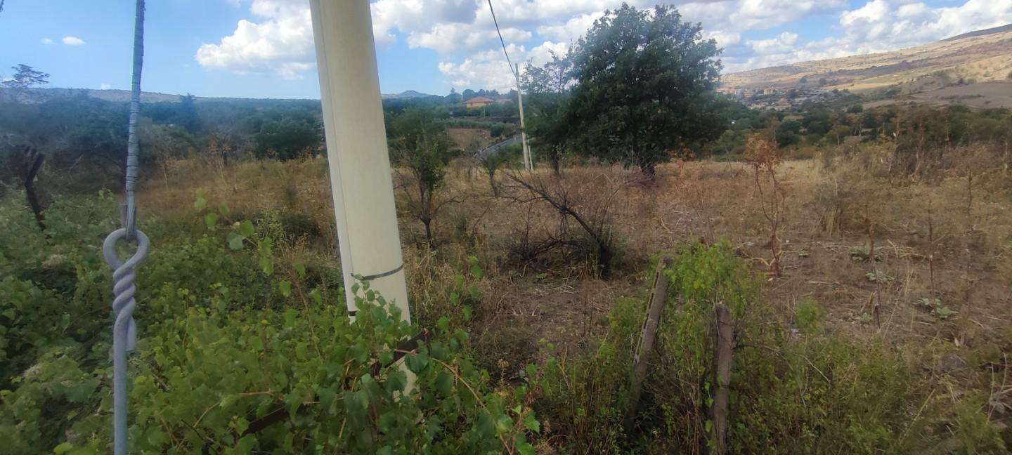  - foto 13