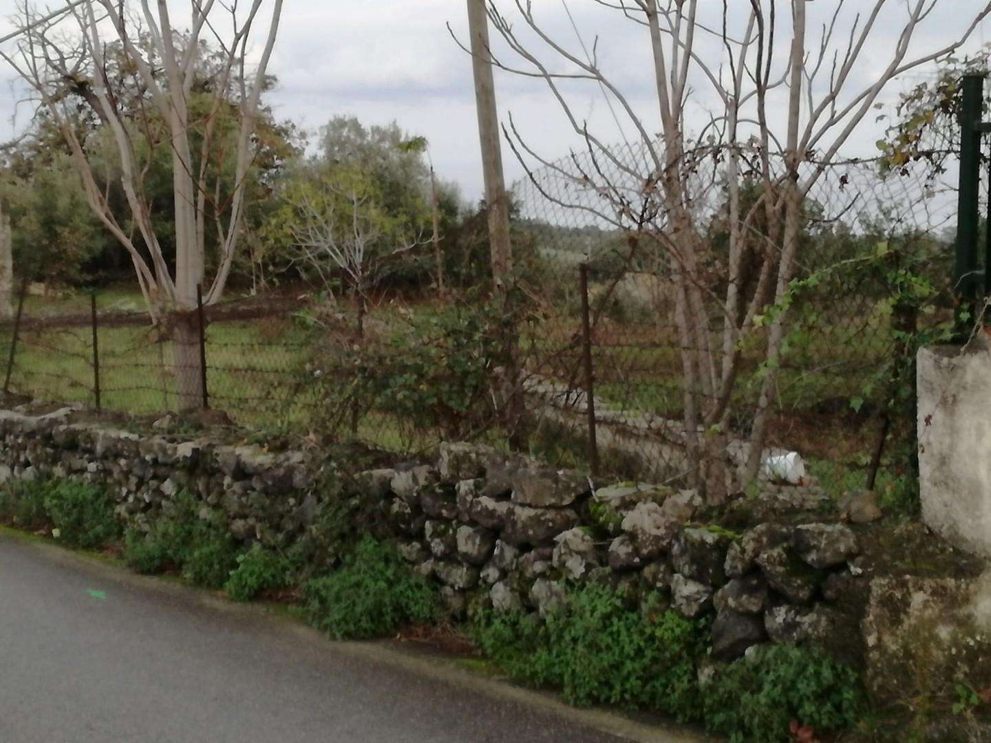  - foto 5