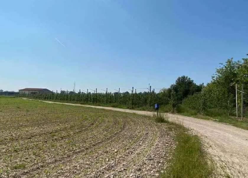  - foto 3