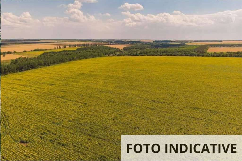  - foto 7