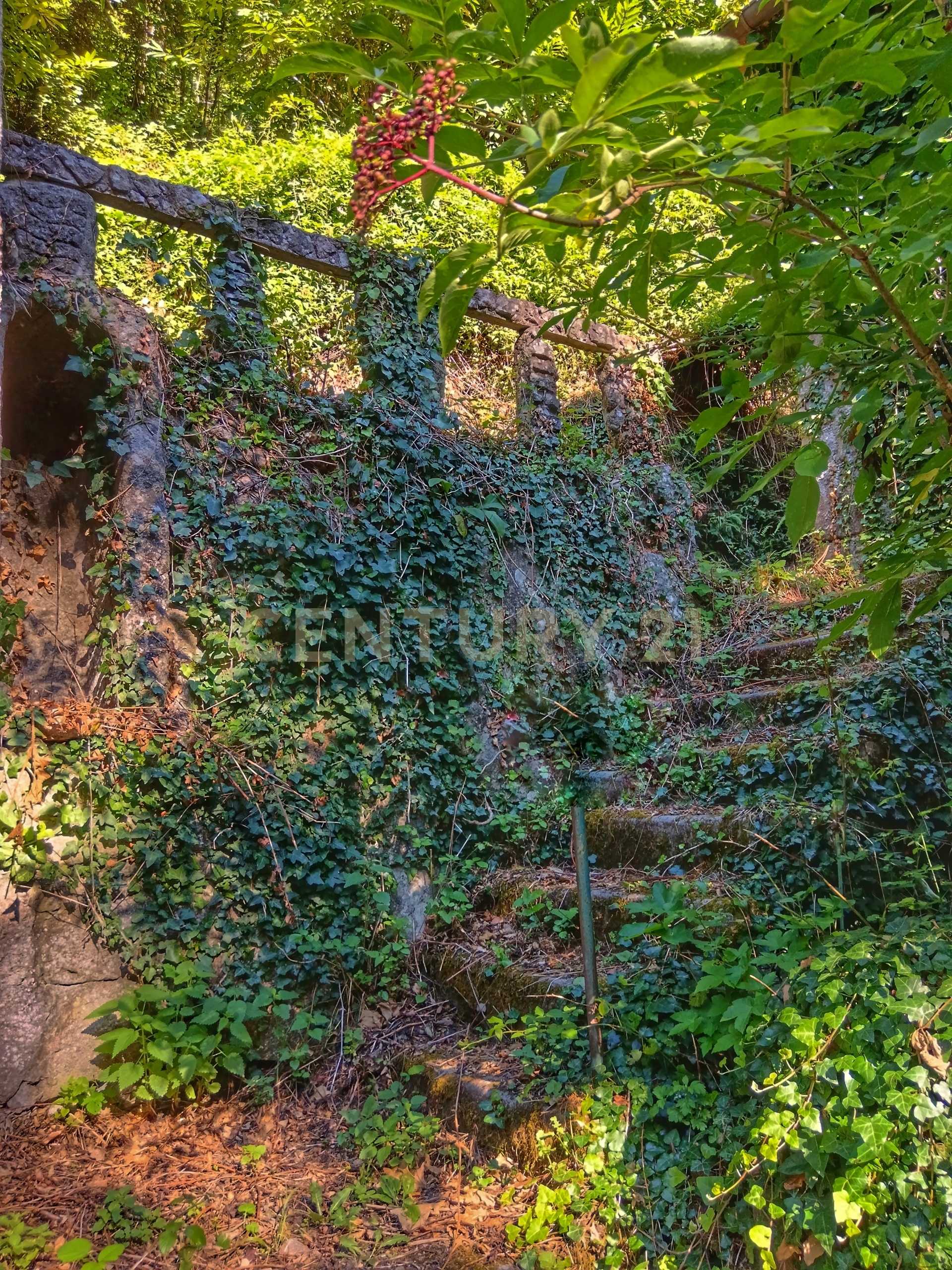  - foto 5