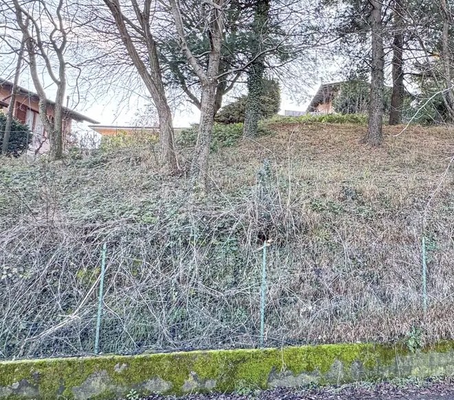 - foto 12