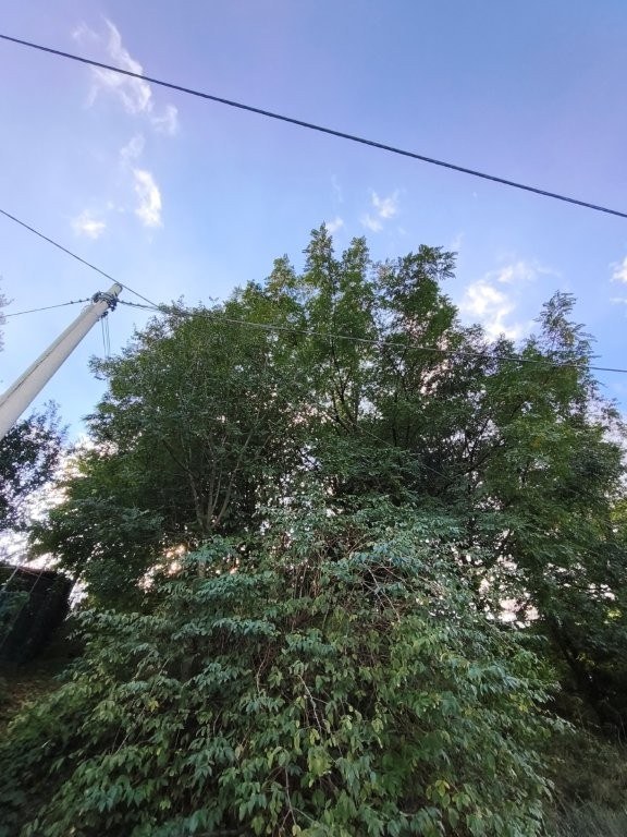  - foto 5